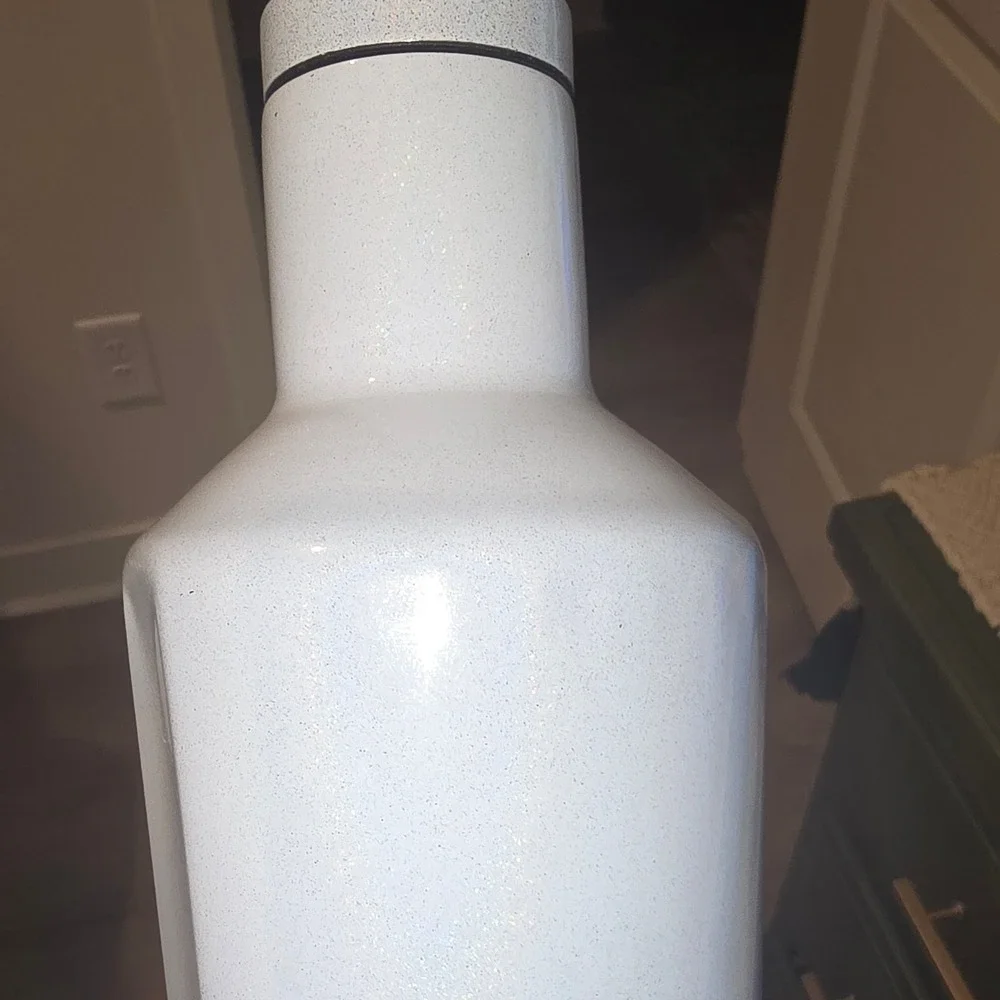 Corkcicle 25oz stainless